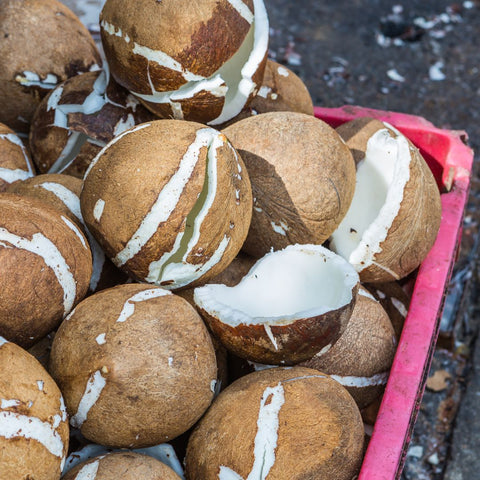Fresh coconut deshelled and kept to make coconut milk for virgin coconut oil. This is the process followed by Local Sparrow for its unrefined, cold pressed virgin coconut oil