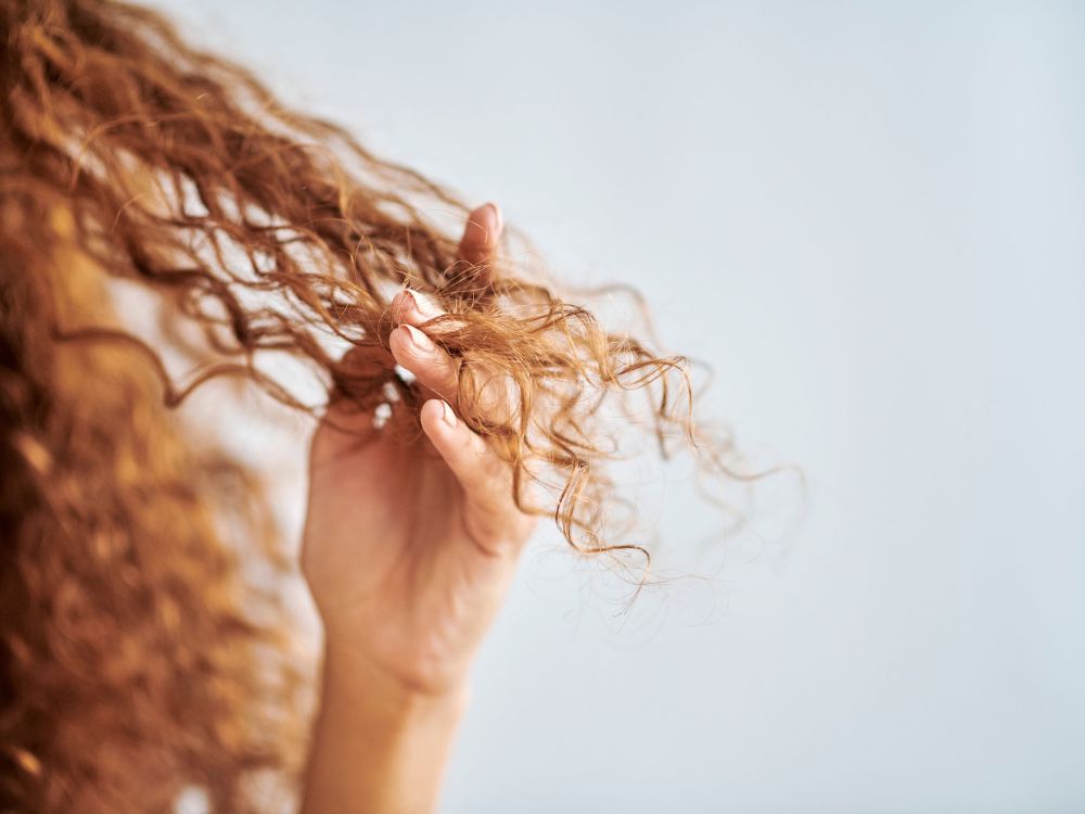 كيفية علاج تقصف الشعر