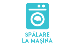 Spalare la masina