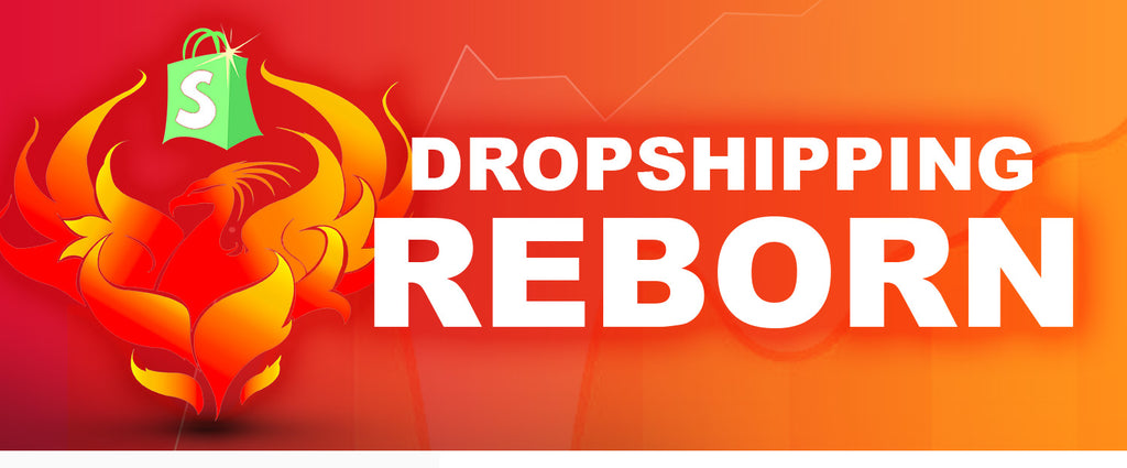 Dropshipping Reborn C Est Quoi Seo Reborn