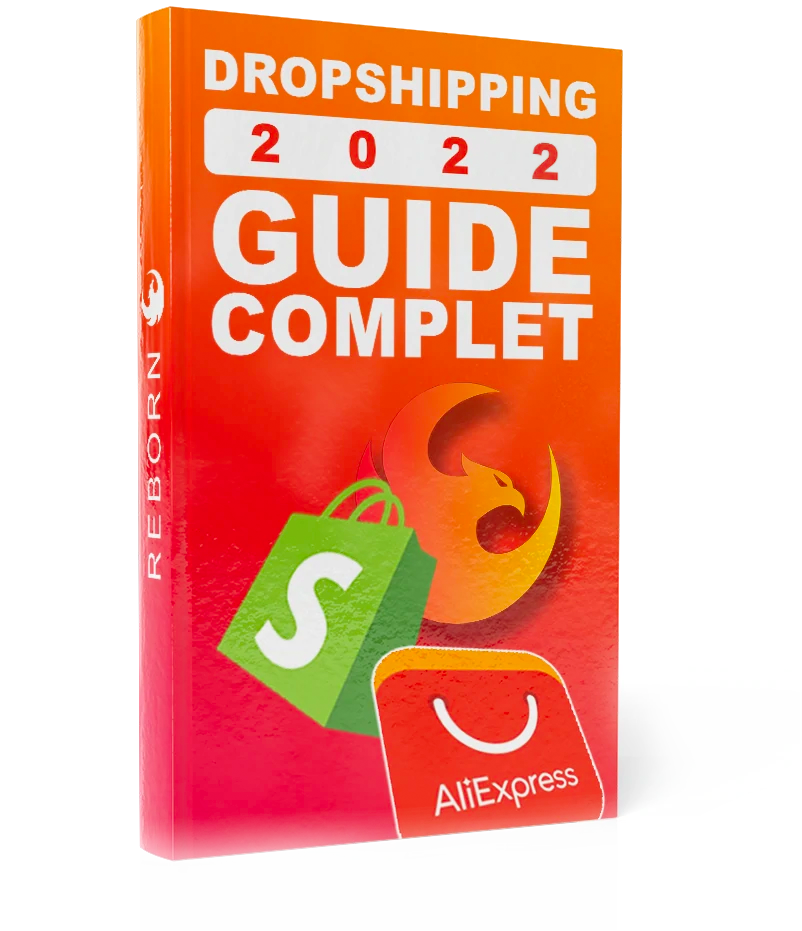 Guide Dropshipping Reborn 2021