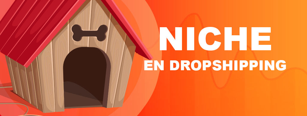 trouver une niche dropshipping