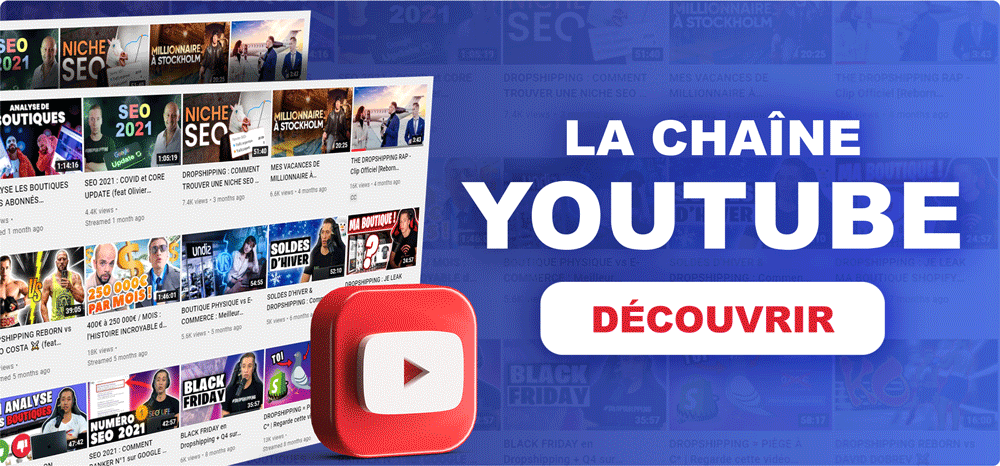 chaine youtube dropshipping reborn