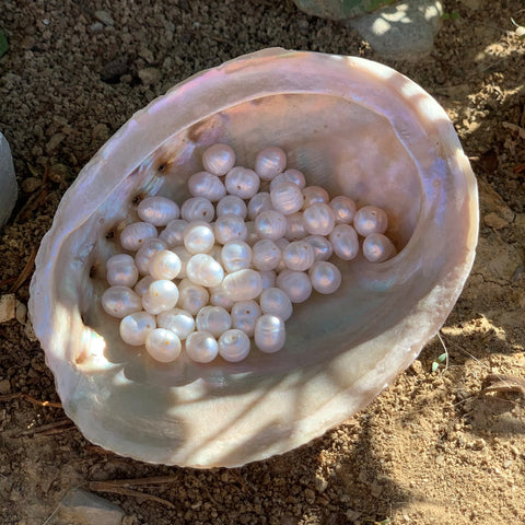 Perles en perles nacrées blanches