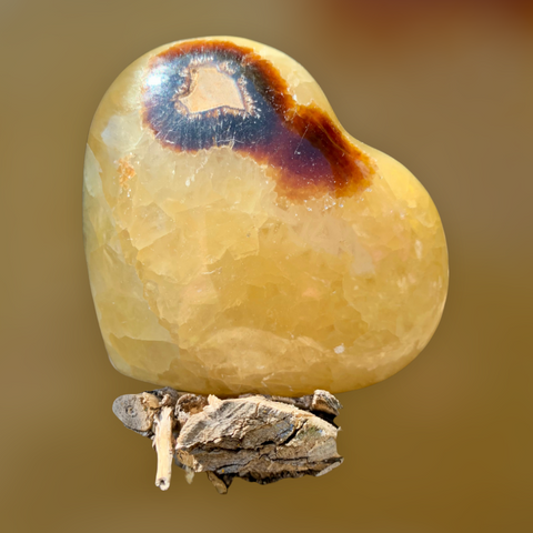 Heart of septaria with yellow calcite