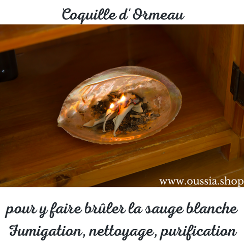 Faire bruler la sauge dans une coquille d'ormeau