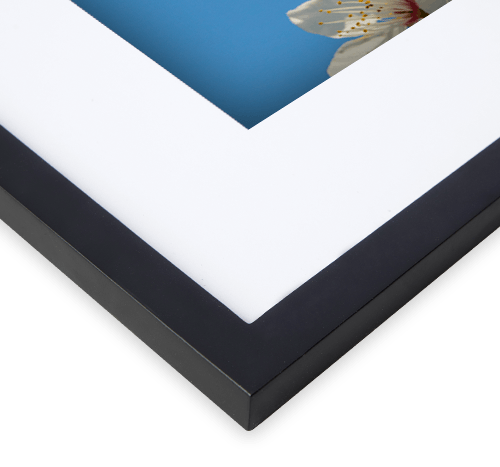 16x20 picture frame  Online framing service – Frameology