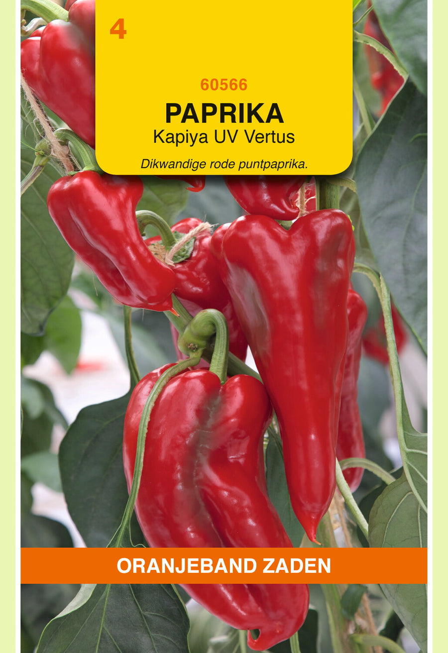 Ruwe slaap Beven avond Paprika Rode Punt Kapiya – Garden & Seeds