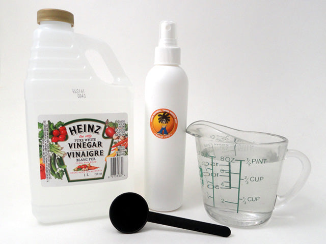 ingredients to make diy vinegar scalp rinse showing a bottle of vinegar, spritzer bottle, spoon, and measuring cup full of water