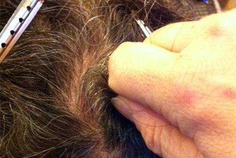 close up of sectioned hair being maintained