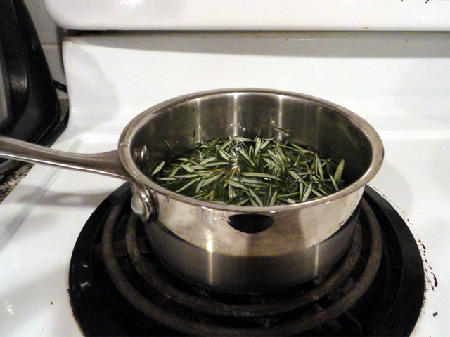 small stainless steel pot on white electric stove filled with water and whole fresh rosemary