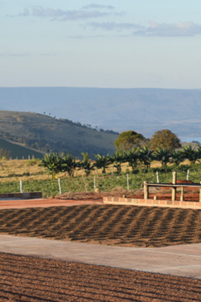 The Peixoto Coffee family farm in Brazil