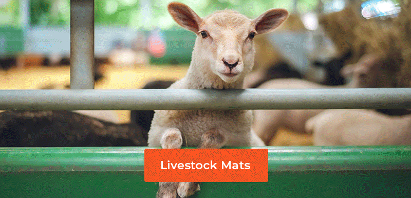 Livestock mat