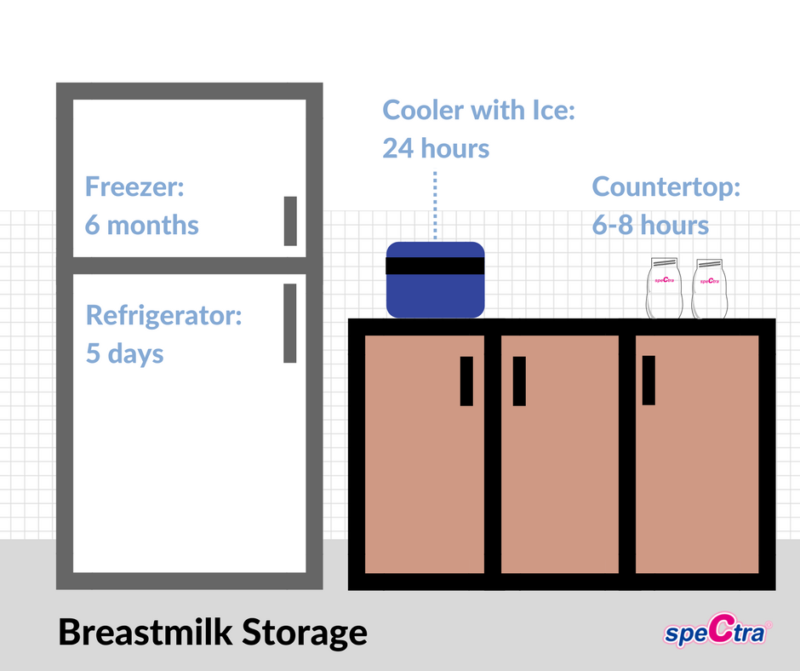 How to Store Milk - Guide