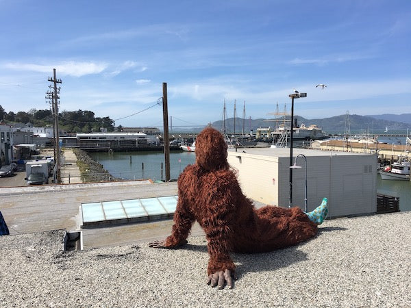 Bigfoot enjoying San Francisco