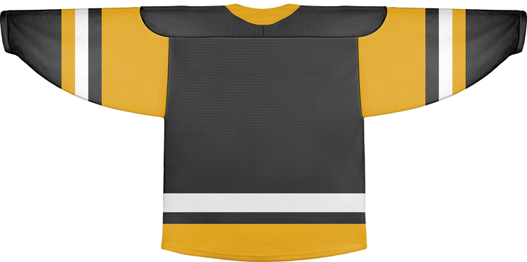 pittsburgh penguins home