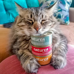 Kaķis ar Naturea barību
