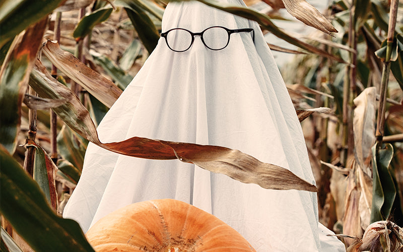 Image of a person wearing a sheet as a ghost costume, with glasses, holding a pumpkin in a corn field.