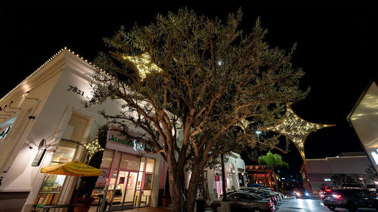A deciduous tree with gold diamond-shaped decorations with gold frames filled with clear silicone netting and warm white mini lights in the foreground. In the background is an outdoor shopping center building lines with warm white perimeter lights.