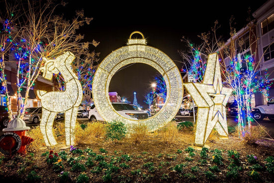 Waterloo reindeer, ring, and star.