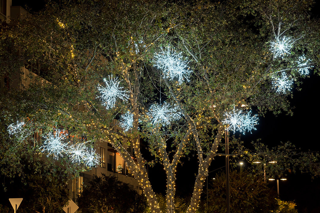 A close-up of a Christmas tree branch, showcasing delicate snowflake lights casting a soft glow.