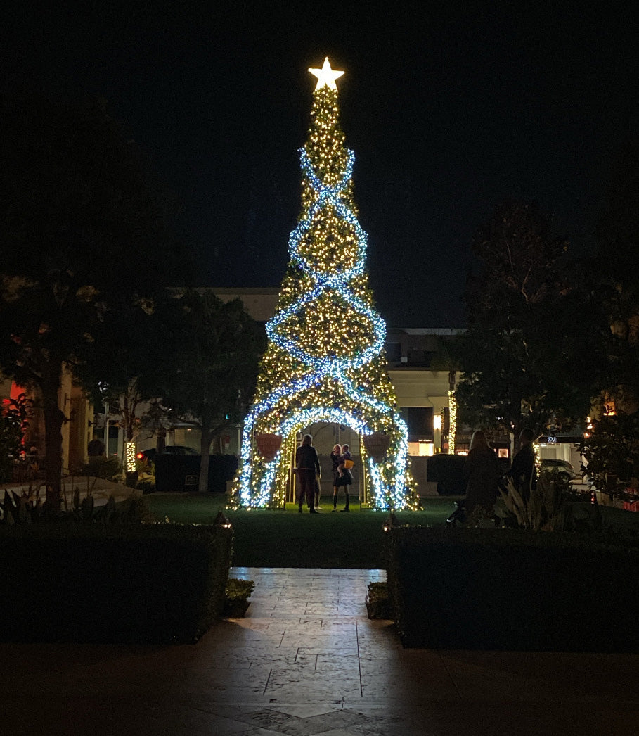 Custom Beverly Hills Walk-Through Tree