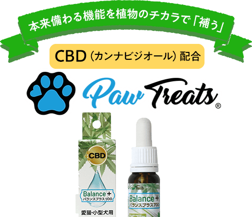 Paw Treats – 株式会社Biペットランド