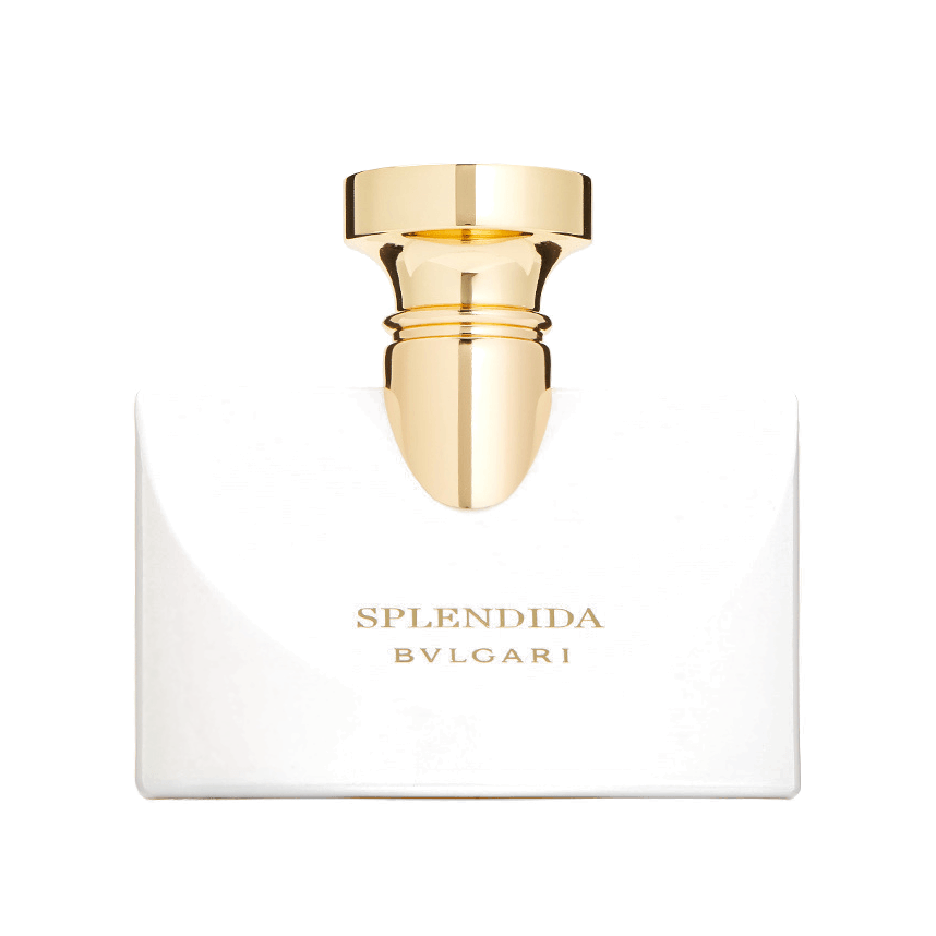 Bvlgari Splendida Patchouli Tentation Eau De Parfum Spray 100ml –  FragranceAvenue