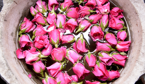 Roses In Bowl Of Water To Make Rose Water