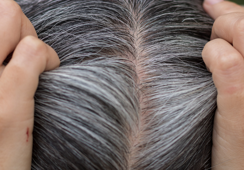 Women Inspecting Her Grey Hair Wondering Why Does Hair Go Grey