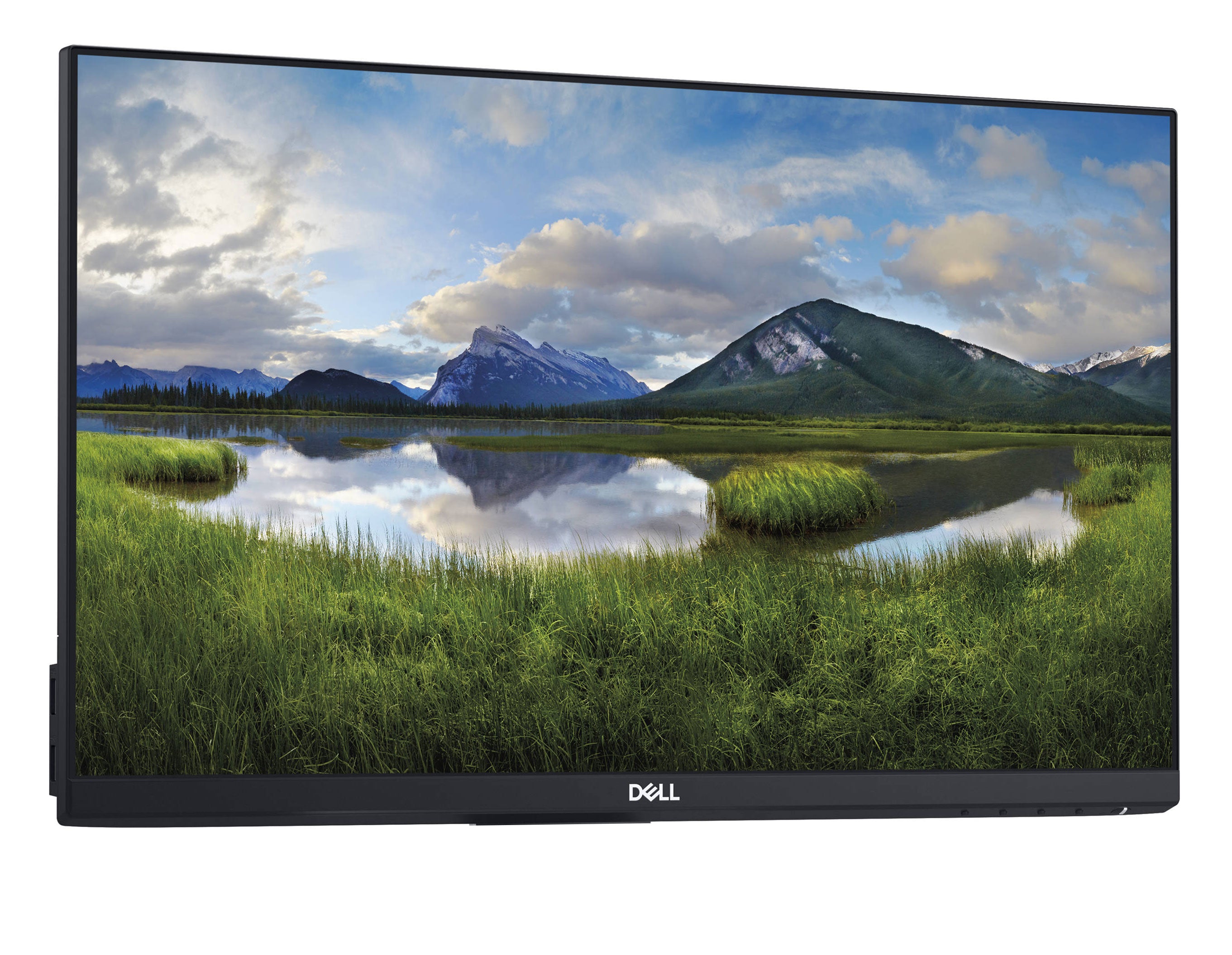  Dell P2219H 22" FHD 1920x1080 IPS LED Backlit LCD Monitor 60Hz 5ms DisplayPort HDMI VGA *Head ONLY *NO BASE 