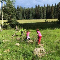 Greens Peak meadow in Arizona