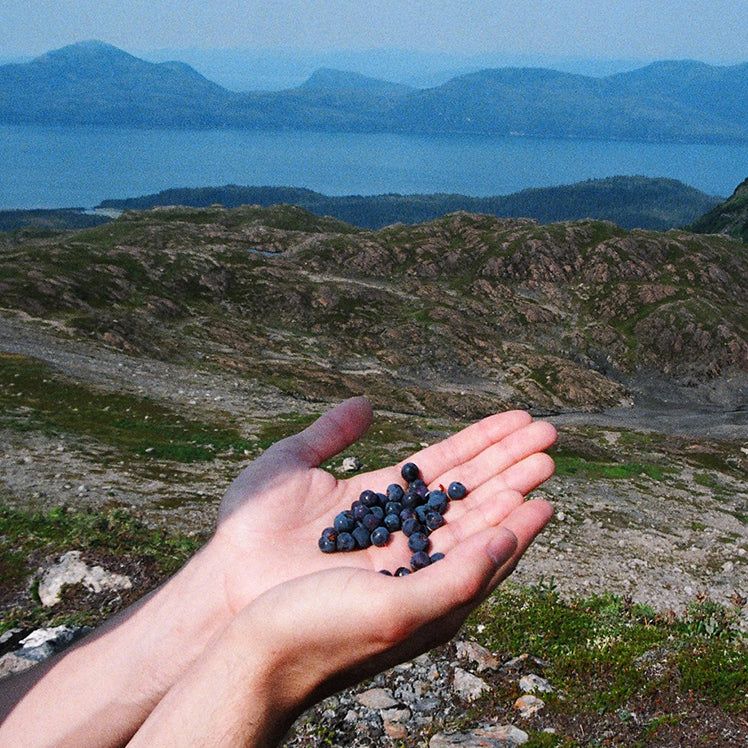 small fruits on hands