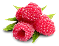 rasberry fruit