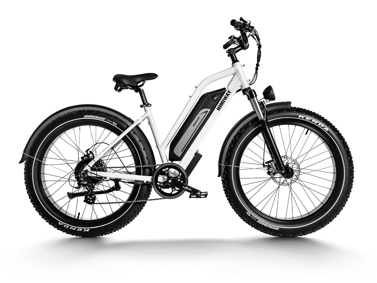 Everyday cruiser bike sales