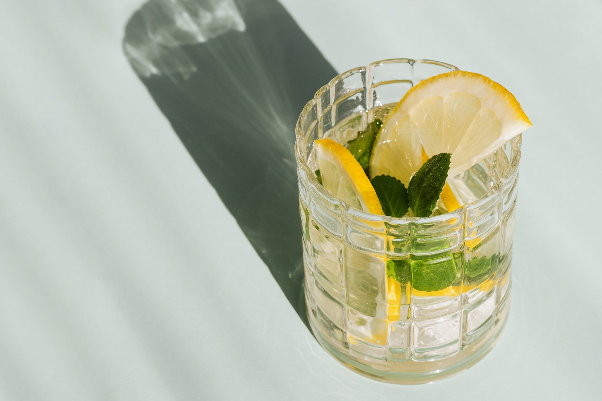 물 한 컵에 레몬 조각과 녹색 잎