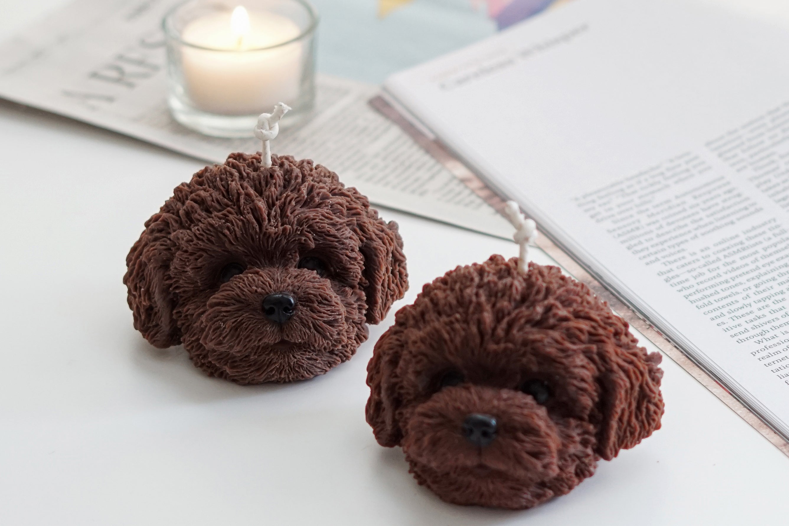 velas de caniche de chocolate