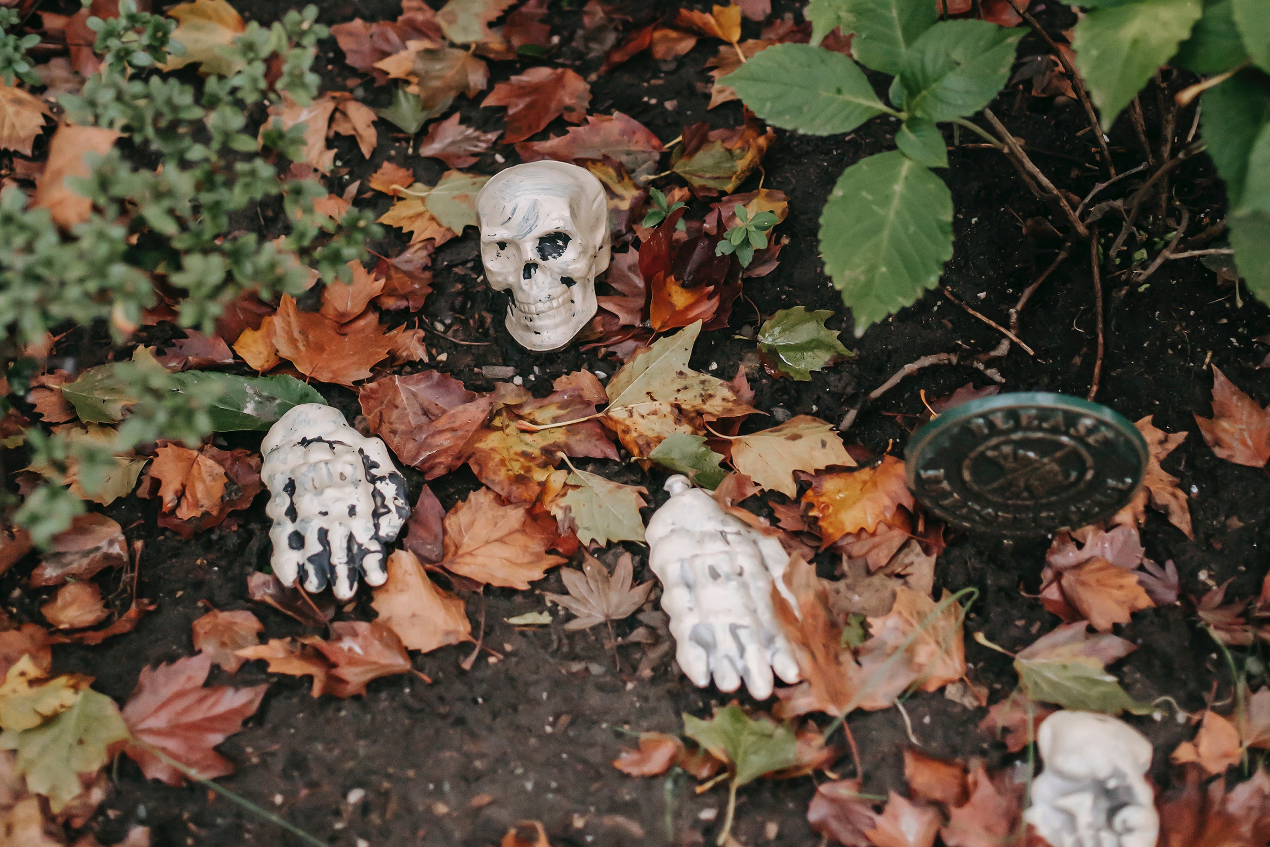 skeleton halloween decor
