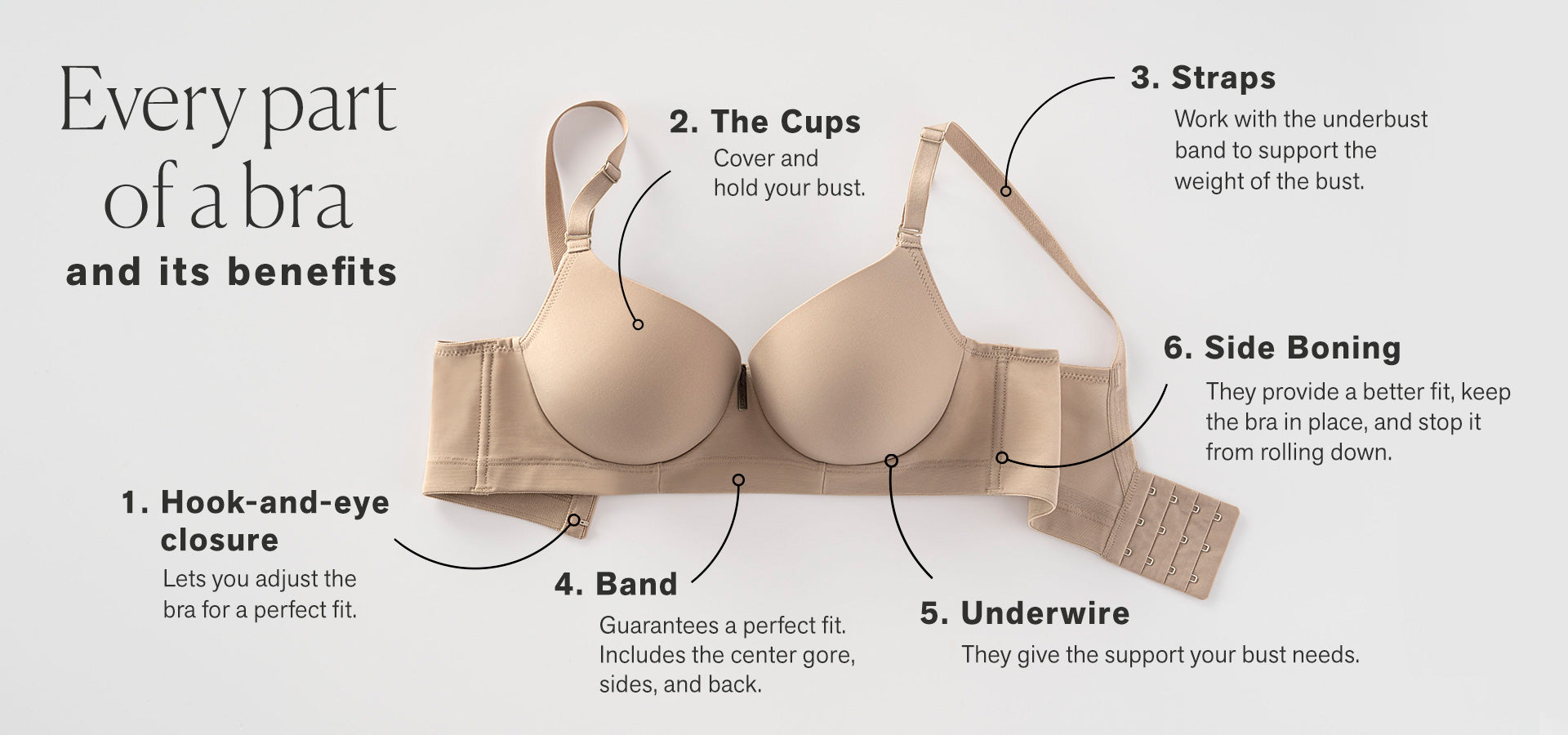 Parts of a Bra: Learn More About Bra Anatomy, Leonisa