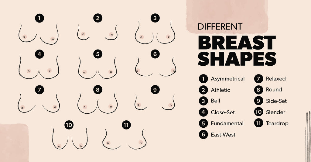 Breast Shapes – Sorella Singapore