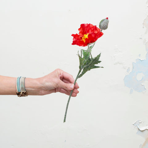 RED POPPY WITH BUDS AND LEAVES