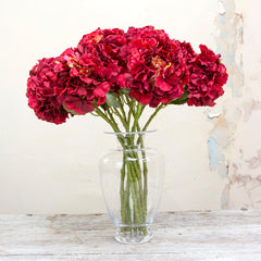 Red pom pom hydrangea with leaves on a long stem