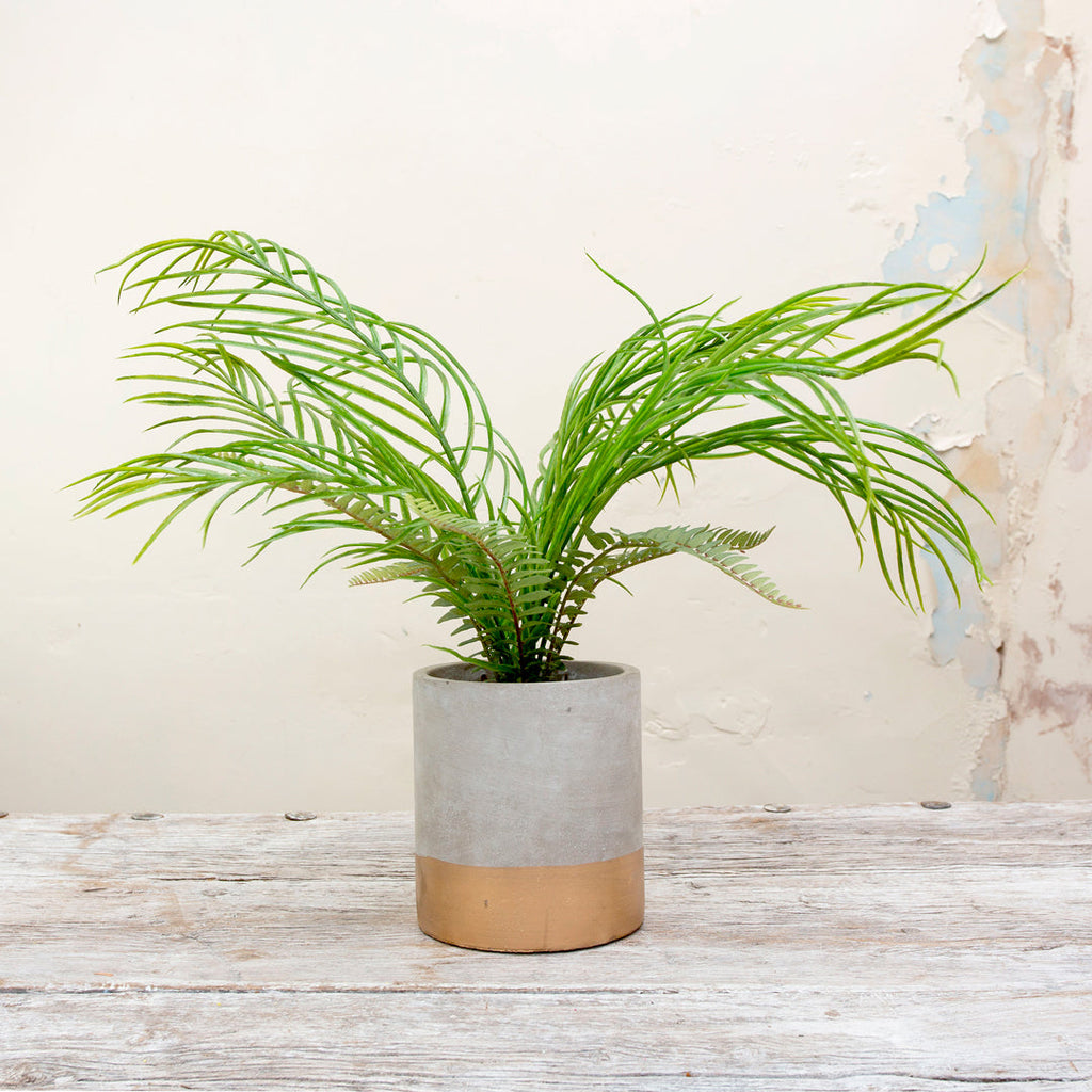 Bonsai tree in real moss in bronze textured ceramic bowl - Peony Faux  Flowers