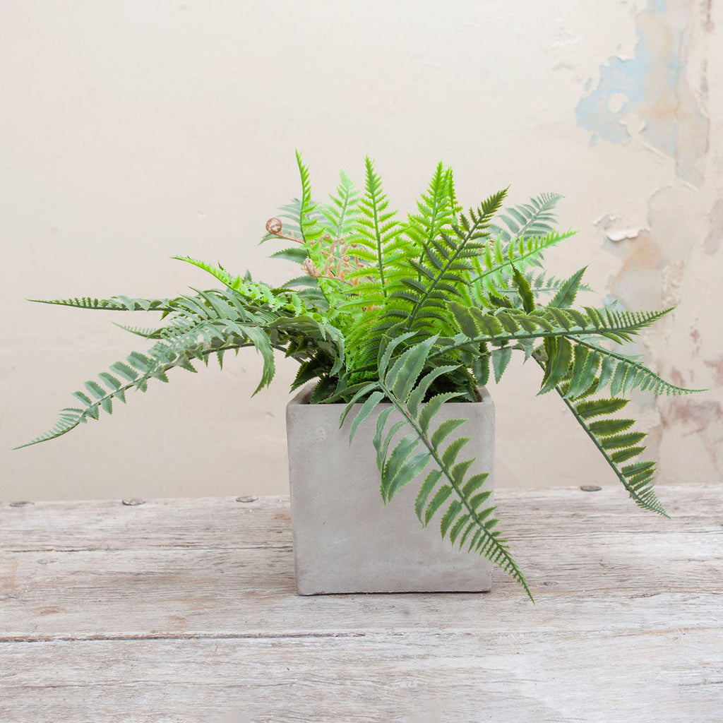 Bonsai tree in real moss in bronze textured ceramic bowl - Peony Faux  Flowers