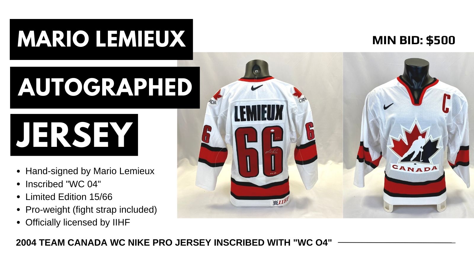 Mario Lemieux signed Team Canada Nike Replica Jersey. Frameworth Auctions