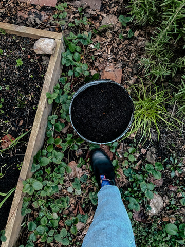 Compost soil from the city garden