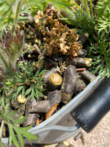 Mulch in the pot