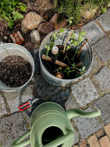 Cultivation watering can