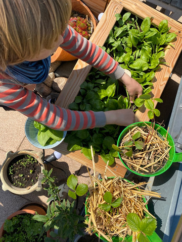 Gardening with children