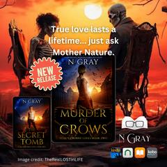 N Gray's new Urban Fantasy Murder of Crows